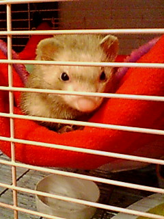 20060210204416.jpg