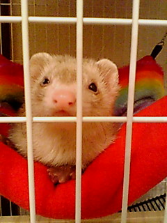 20060324234242.jpg