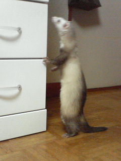 img112.jpg